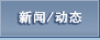 新闻/动态
