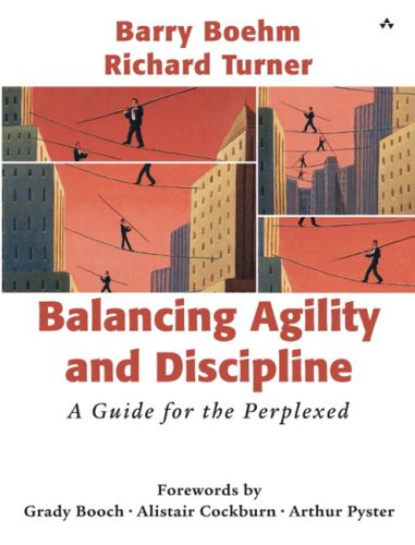 Banlancing_Agility_and_Discipline.jpg